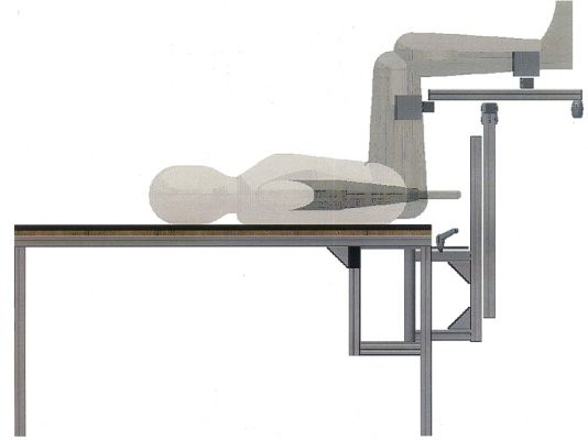 Diagnostic device for hip joint